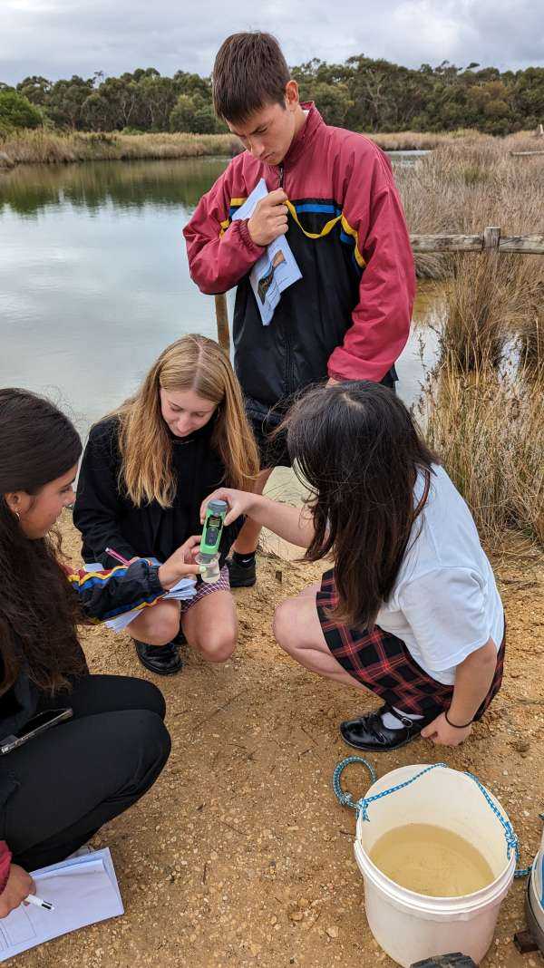 Year 11 Fieldwork in Anglesea