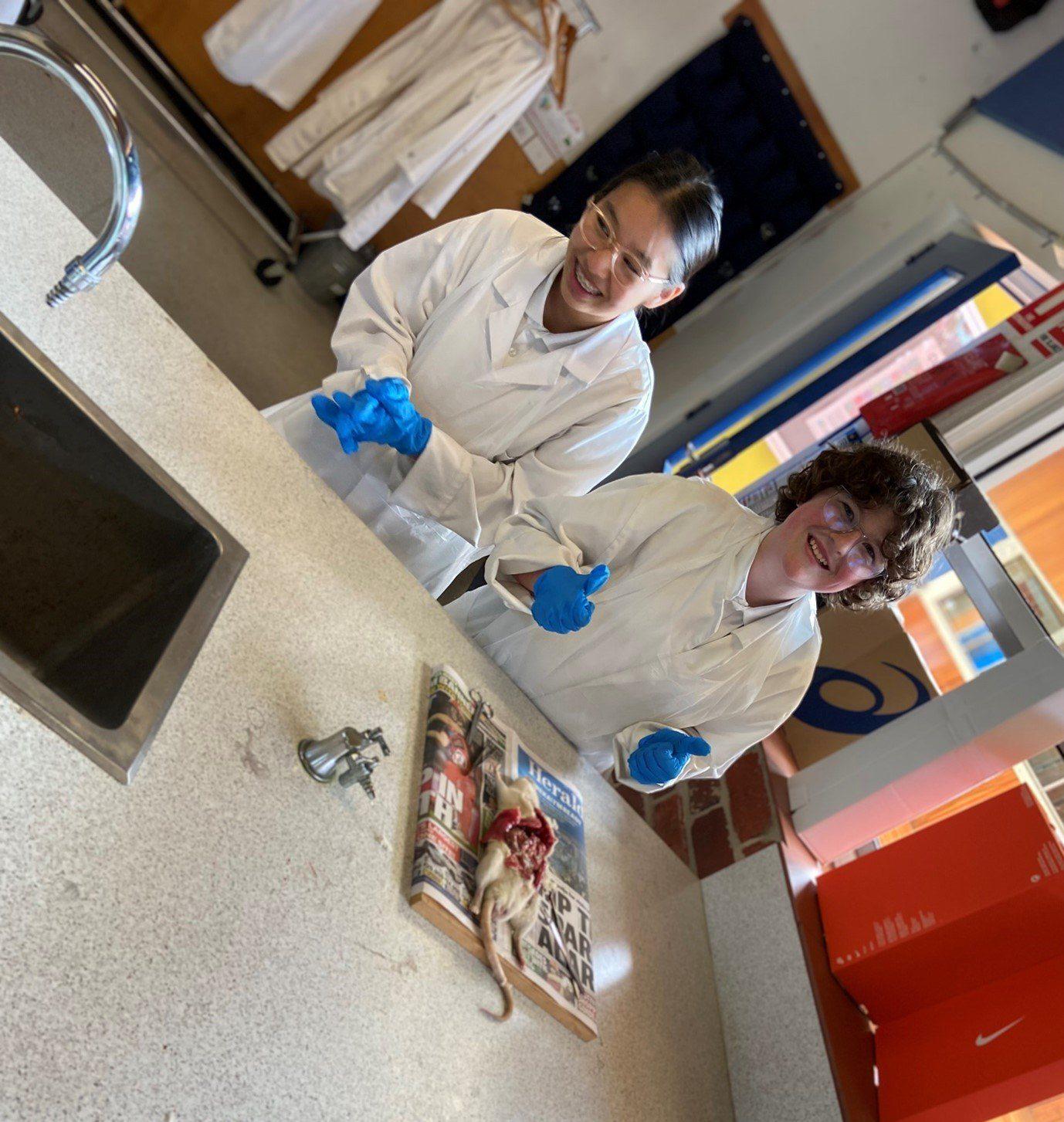 Year 8 Students; Rat dissection Izzy Goodman (8I) and Lam Vu (8I)