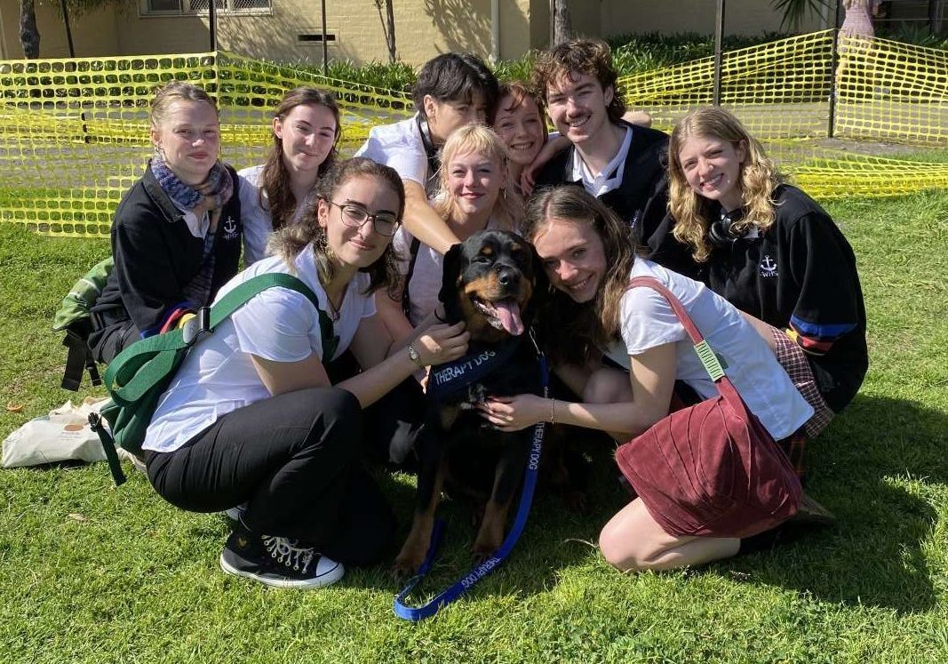 Therapy Dog with Year 12 students
