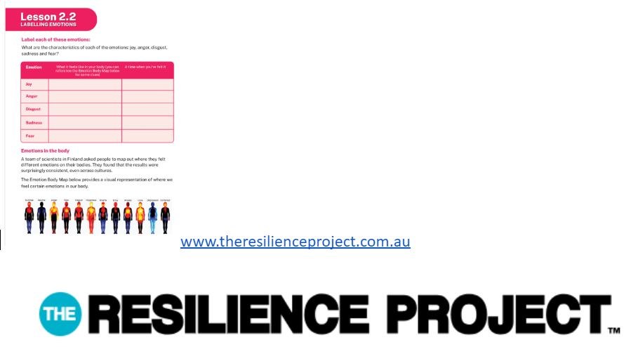 the resilience project